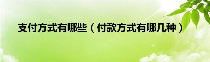 支付方式有哪些【付款方式有哪几种】