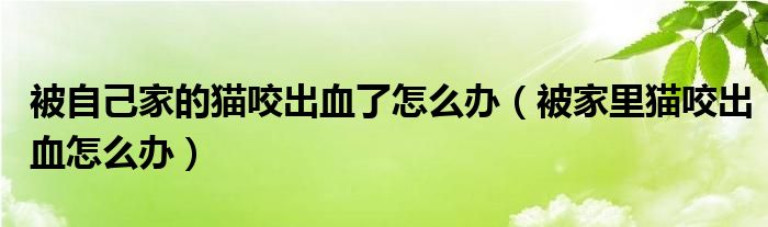 被自己家的猫咬出血了怎么办【被家里猫咬出血怎么办】