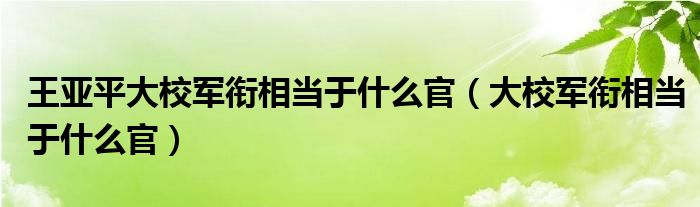 王亚平大校军衔相当于什么官【大校军衔相当于什么官】