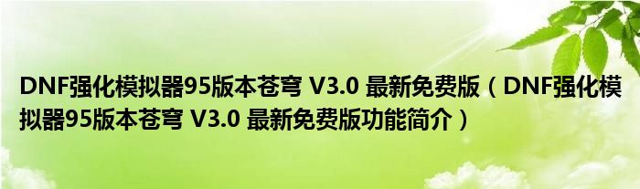 DNF强化模拟器95版本苍穹 V3.0 最新免费版【DNF强化模拟器95版本苍穹 V3.0 最新免费版功能简介】