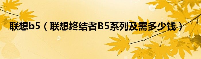 联想b5【联想终结者B5系列及需多少钱】