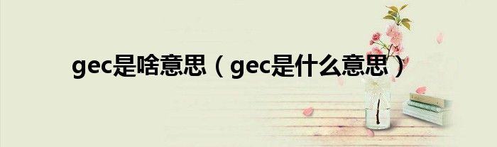 gec是啥意思【gec是什么意思】