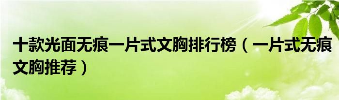 十款光面无痕一片式文胸排行榜【一片式无痕文胸推荐】