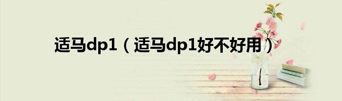 适马dp1【适马dp1好不好用】