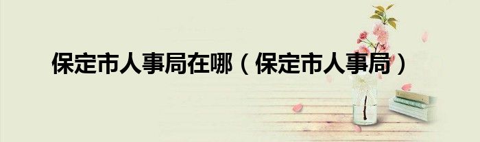 保定市人事局在哪【保定市人事局】