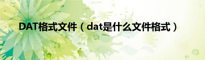 DAT格式文件【dat是什么文件格式】