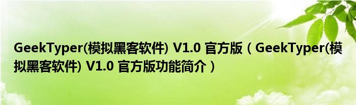 GeekTyper(模拟黑客软件) V1.0 官方版【GeekTyper(模拟黑客软件) V1.0 官方版功能简介】