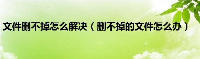 文件删不掉怎么解决【删不掉的文件怎么办】