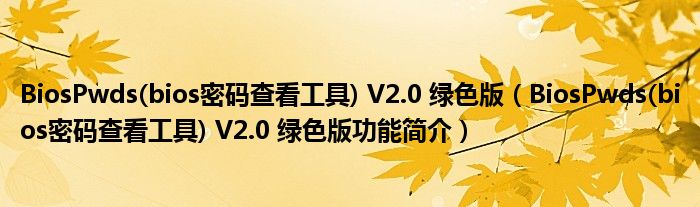 BiosPwds(bios密码查看工具) V2.0 绿色版【BiosPwds(bios密码查看工具) V2.0 绿色版功能简介】