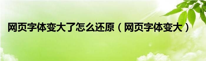 网页字体变大了怎么还原【网页字体变大】