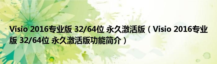 Visio 2016专业版 32/64位 永久激活版【Visio 2016专业版 32/64位 永久激活版功能简介】