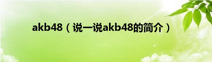 akb48【说一说akb48的简介】