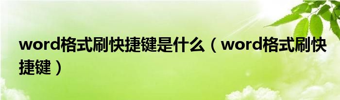 word格式刷快捷键是什么【word格式刷快捷键】