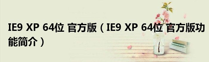 IE9 XP 64位 官方版【IE9 XP 64位 官方版功能简介】