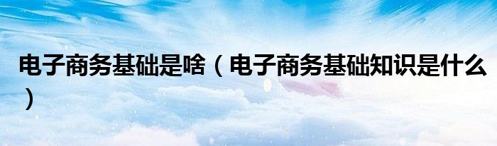 电子商务基础是啥【电子商务基础知识是什么】