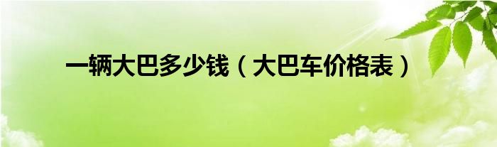 一辆大巴多少钱【大巴车价格表】