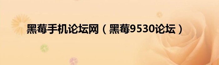 黑莓手机论坛网【黑莓9530论坛】