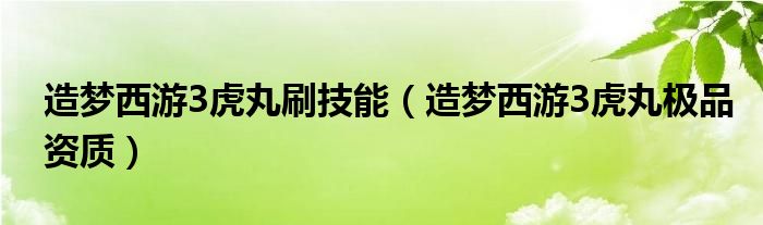 造梦西游3虎丸刷技能【造梦西游3虎丸极品资质】