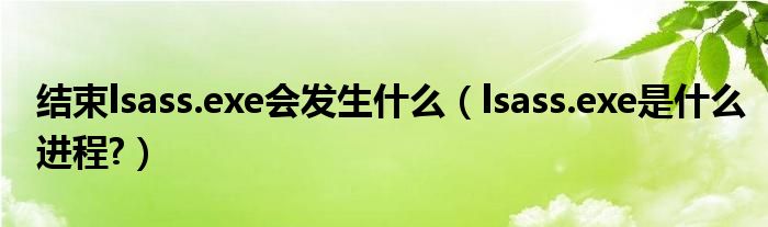 结束lsass.exe会发生什么【lsass.exe是什么进程?】