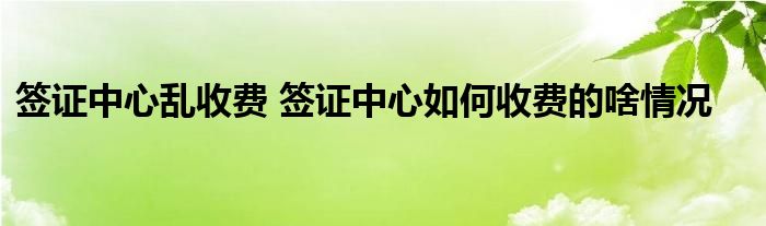 签证中心乱收费 签证中心如何收费的啥情况