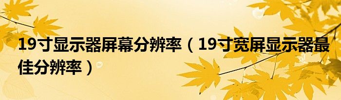 19寸显示器屏幕分辨率【19寸宽屏显示器最佳分辨率】