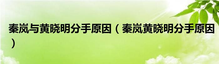 秦岚与黄晓明分手原因【秦岚黄晓明分手原因】