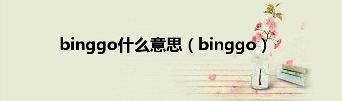 binggo什么意思【binggo】