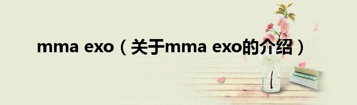 mma exo【关于mma exo的介绍】