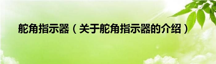 舵角指示器【关于舵角指示器的介绍】