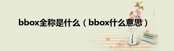 bbox全称是什么【bbox什么意思】