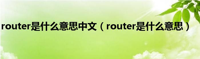 router是什么意思中文【router是什么意思】