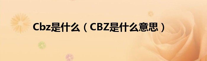 Cbz是什么【CBZ是什么意思】