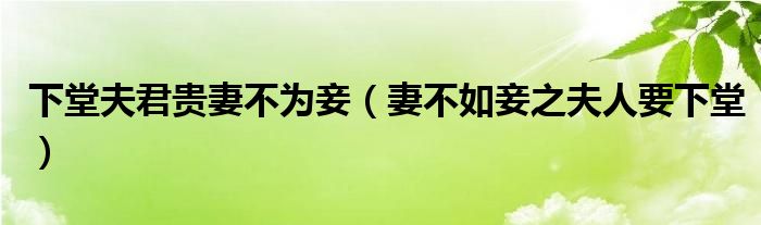 下堂夫君贵妻不为妾【妻不如妾之夫人要下堂】