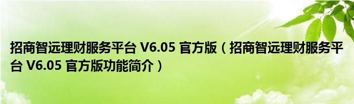 招商智远理财服务平台 V6.05 官方版【招商智远理财服务平台 V6.05 官方版功能简介】