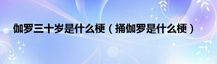 伽罗三十岁是什么梗【捅伽罗是什么梗】