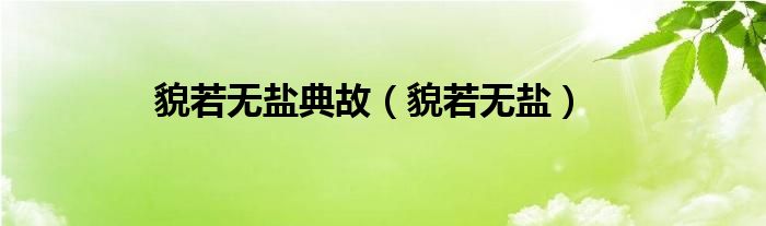 貌若无盐典故【貌若无盐】