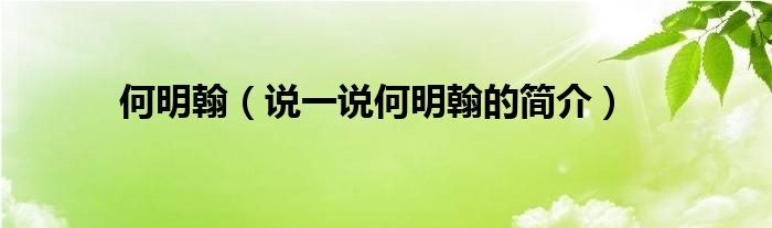 何明翰【说一说何明翰的简介】