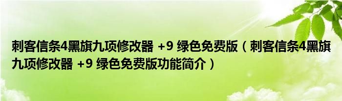 刺客信条4黑旗九项修改器 +9 绿色免费版【刺客信条4黑旗九项修改器 +9 绿色免费版功能简介】