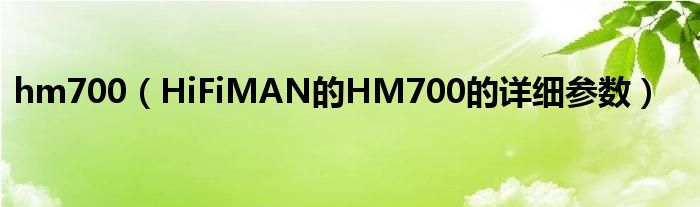 hm700【HiFiMAN的HM700的详细参数】