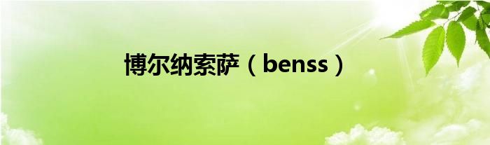 博尔纳索萨【benss】