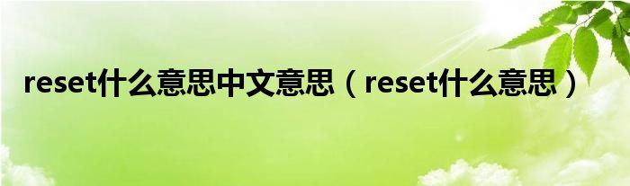 reset什么意思中文意思【reset什么意思】