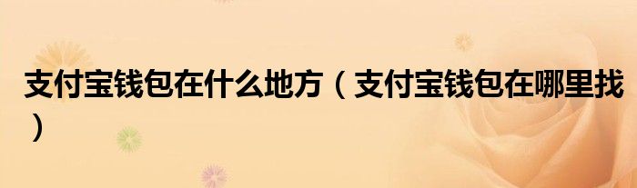 支付宝钱包在什么地方【支付宝钱包在哪里找】