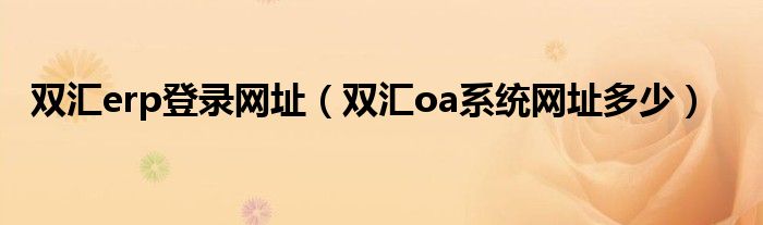 双汇erp登录网址【双汇oa系统网址多少】