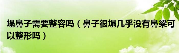 塌鼻子需要整容吗【鼻子很塌几乎没有鼻梁可以整形吗】