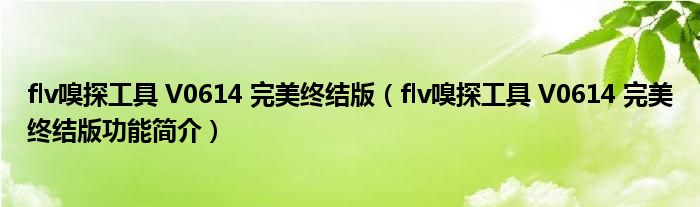 flv嗅探工具 V0614 完美终结版【flv嗅探工具 V0614 完美终结版功能简介】