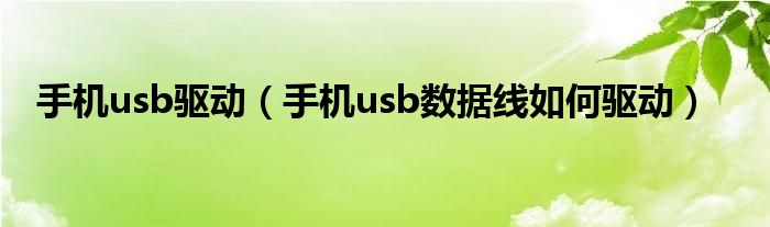 手机usb驱动【手机usb数据线如何驱动】