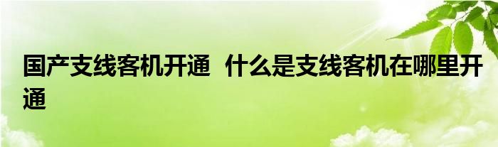 国产支线客机开通 什么是支线客机在哪里开通