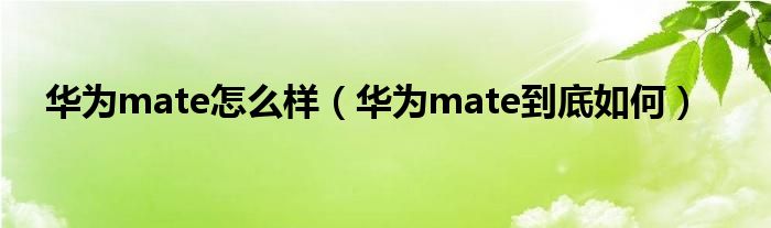 华为mate怎么样【华为mate到底如何】