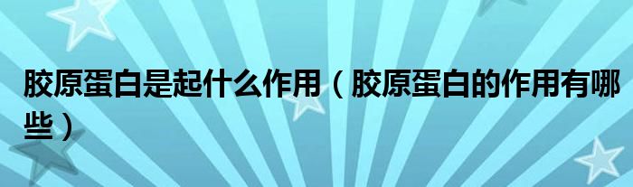 胶原蛋白是起什么作用【胶原蛋白的作用有哪些】