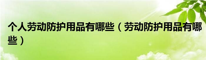 个人劳动防护用品有哪些【劳动防护用品有哪些】